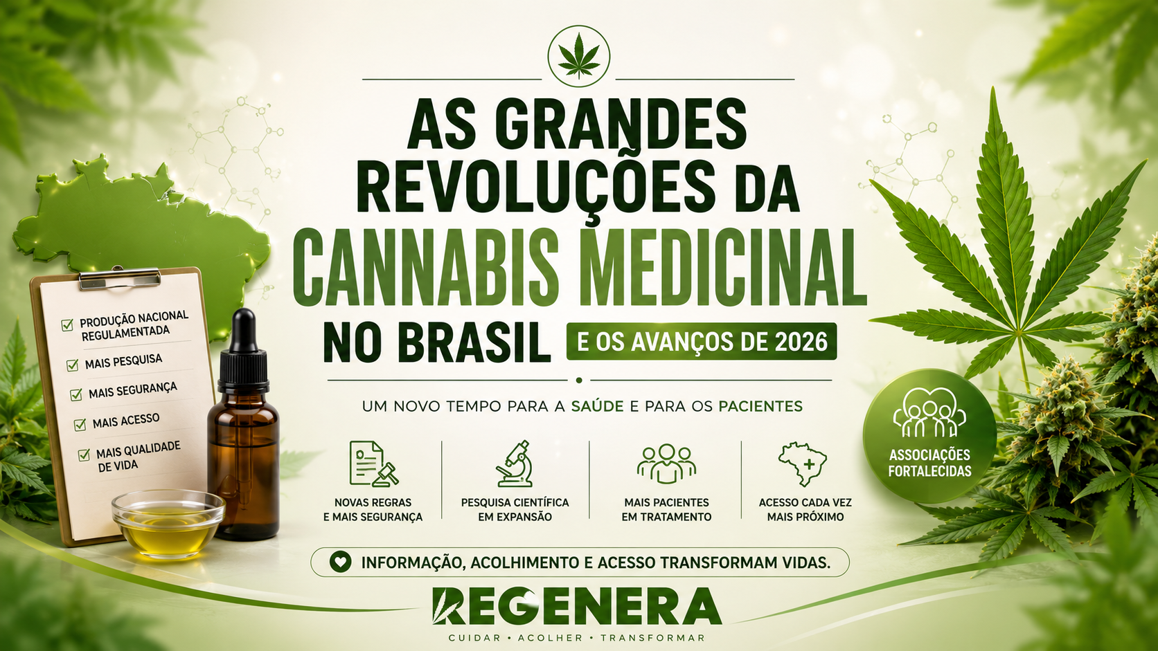 As Grandes Revoluções da Cannabis Medicinal no Brasil e os Avanços de 2026
